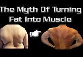 How to turn fat into muscles