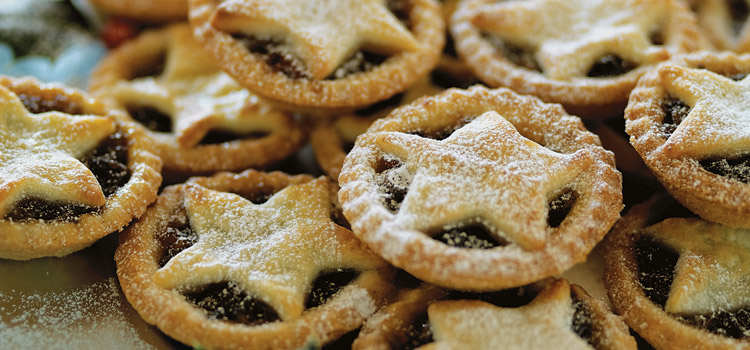 Mince Pie with Cranberries