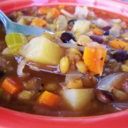 Easy Tasty Hearty Lentil Black Bean Stew