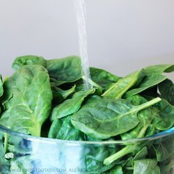 Japanese Spinach Salad