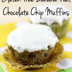 Gluten Free Chocolate Chip Nut Muffins