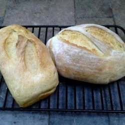 Vichyssoise (Potato-Leek) Bread